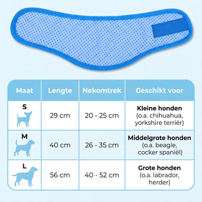Hunde-Kühlhalsband