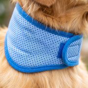 Hunde-Kühlhalsband