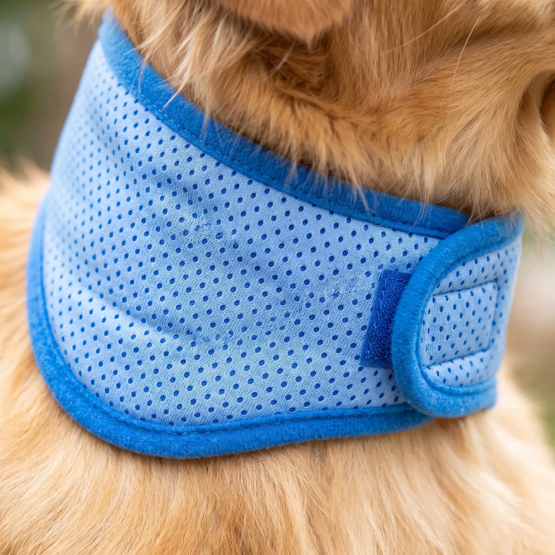 Hunde-Kühlhalsband
